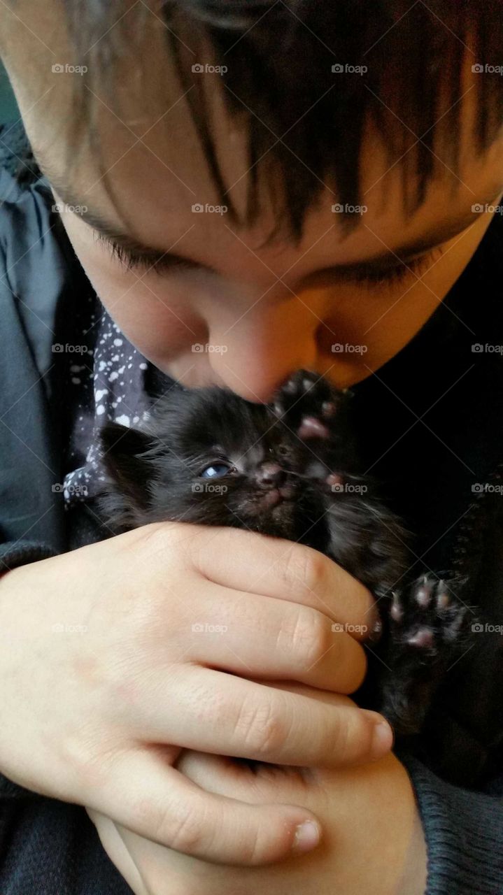 mainecoon 4 week old black kitten kisses with boy.
