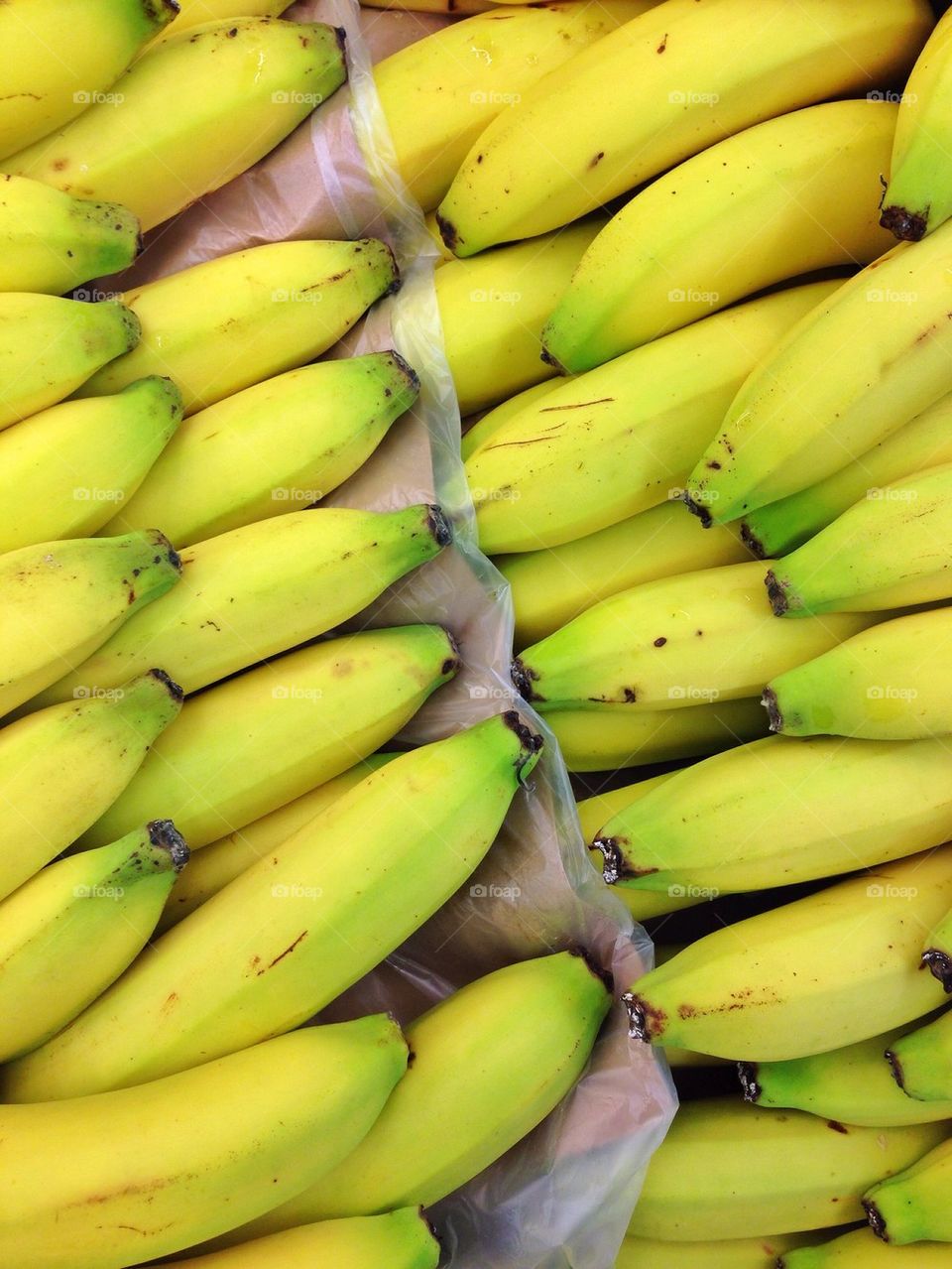 High angle view of bananas