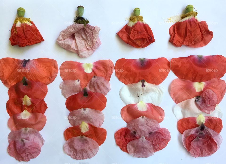 Pattern from red petals