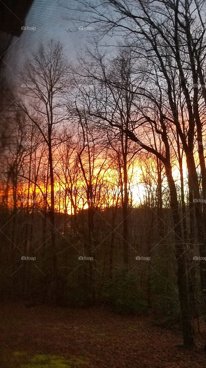 sunset from my front porch