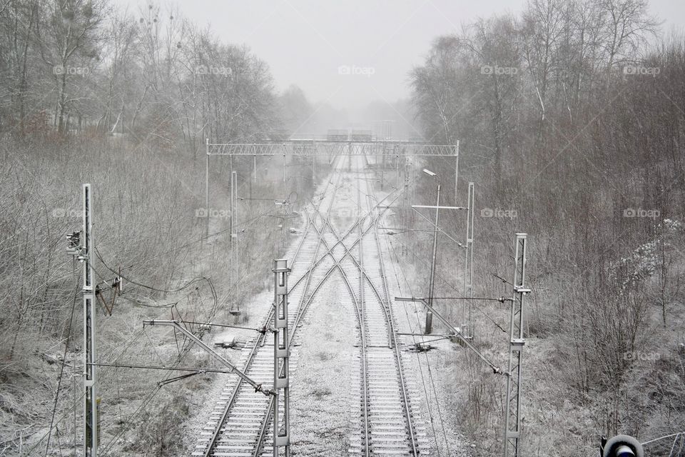 Snowy morning 