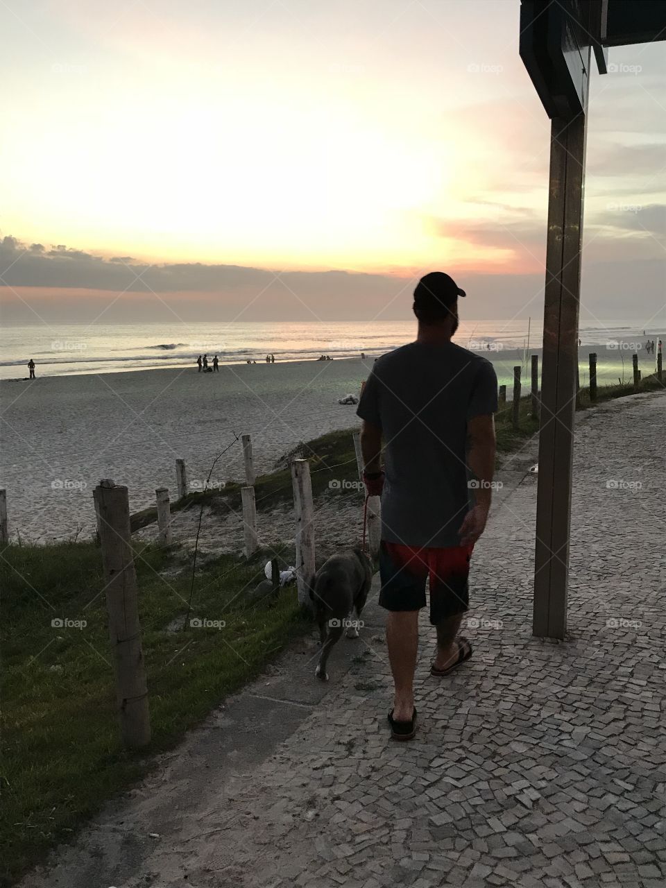 walking on the beach with the dog