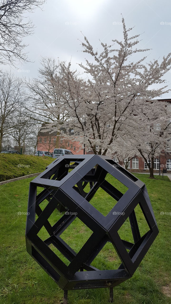 Weiß oder nicht Weiß das ist hier die frage