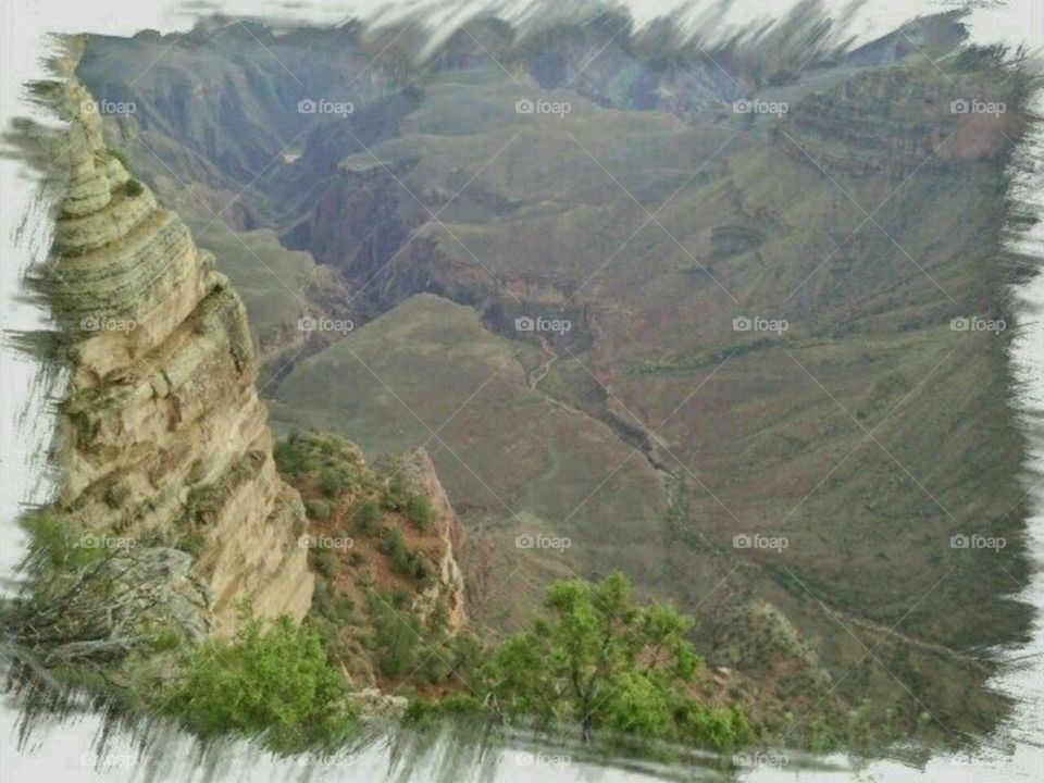 The Amazing  Canyon