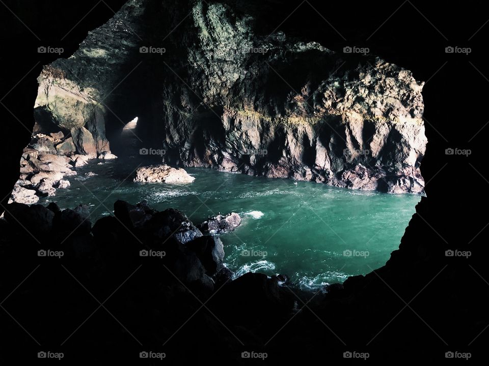 Sea lion cave in Oregon 