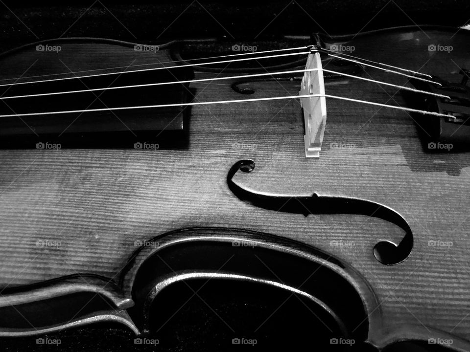 Black and white violin 