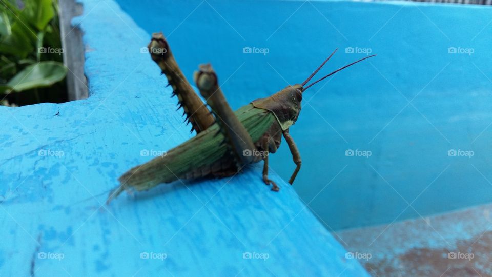 No Person, One, Nature, Outdoors, Water