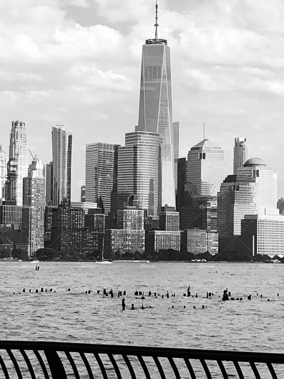 New York skyline / Hudson
