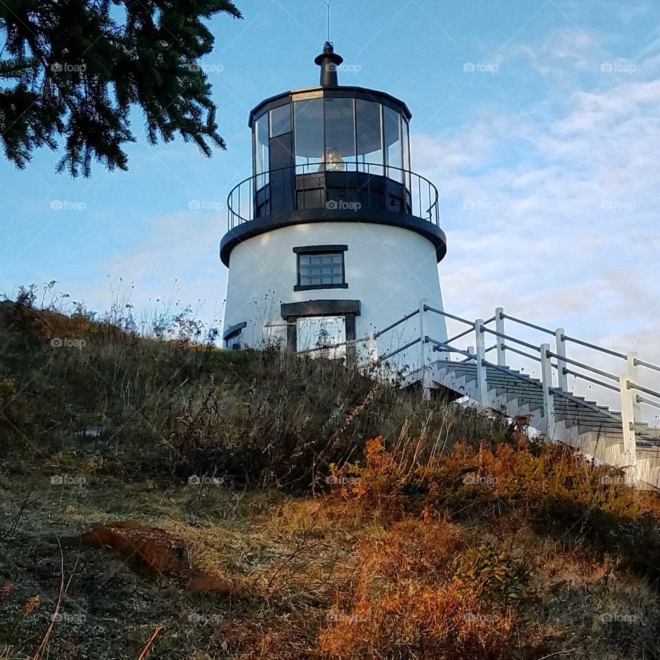 Owls Head light house