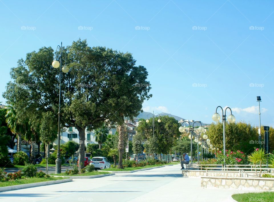 Beautiful trees, flowers and plants adorn the seawalk made in white stone. An old man sits, waiting for his friends to arrive.