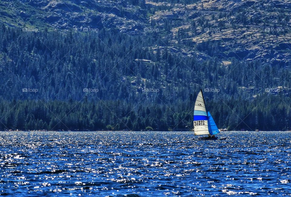 Sailing In California