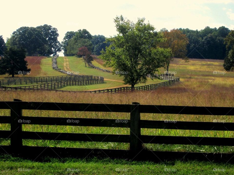 Farm roads 