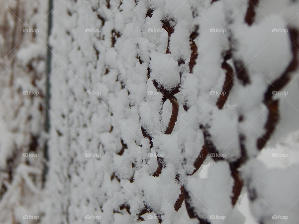 Snowy Day in Northern Maine - November 2015