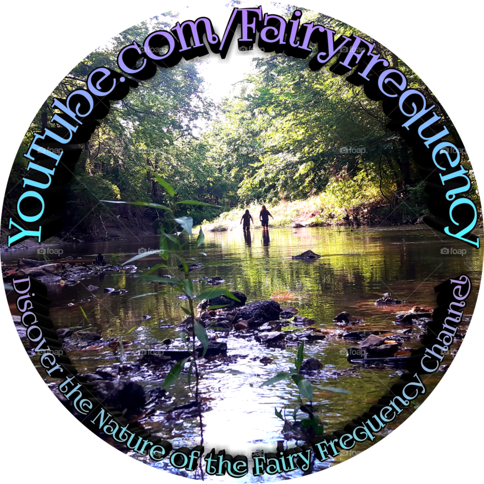 Follow through the woodland and into the creek discovering the nature all around us YouTube.com/FairyFrequency and Instagram @FairyFrequency