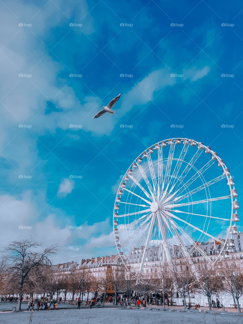 Fly in Paris like a Bird