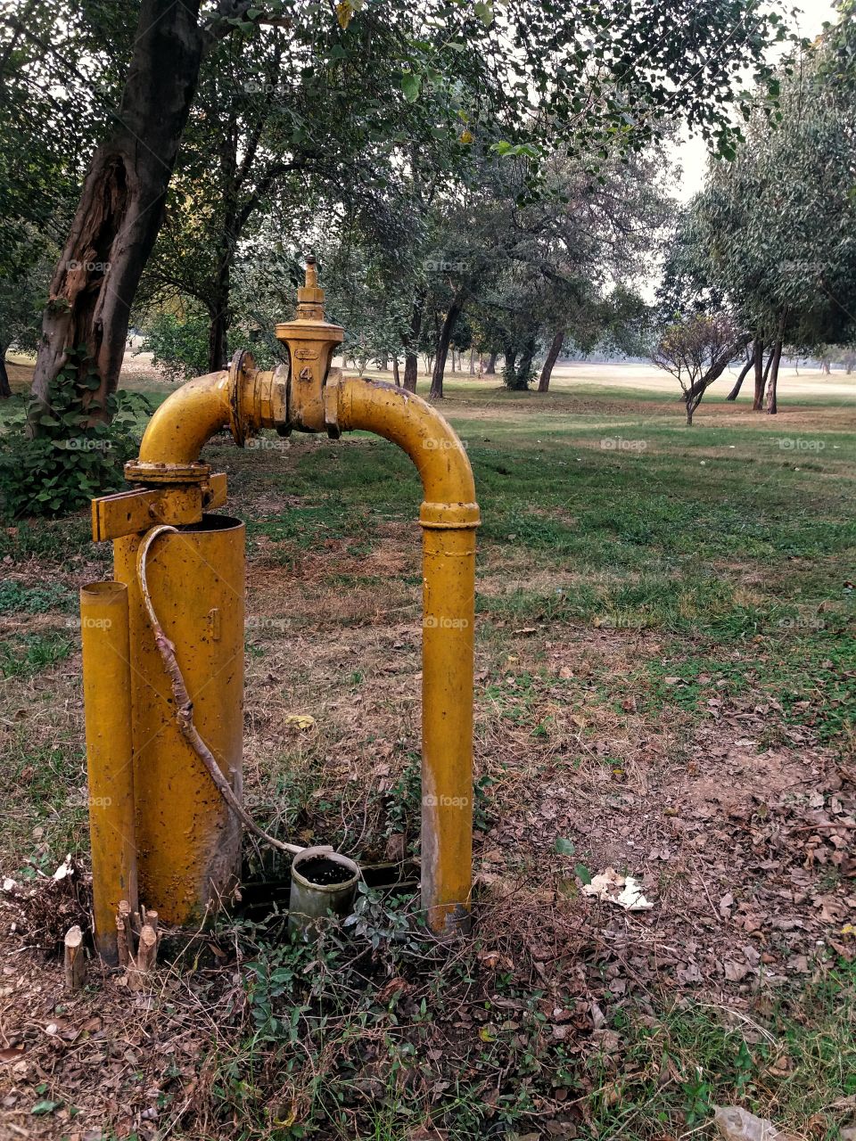 Water Pump