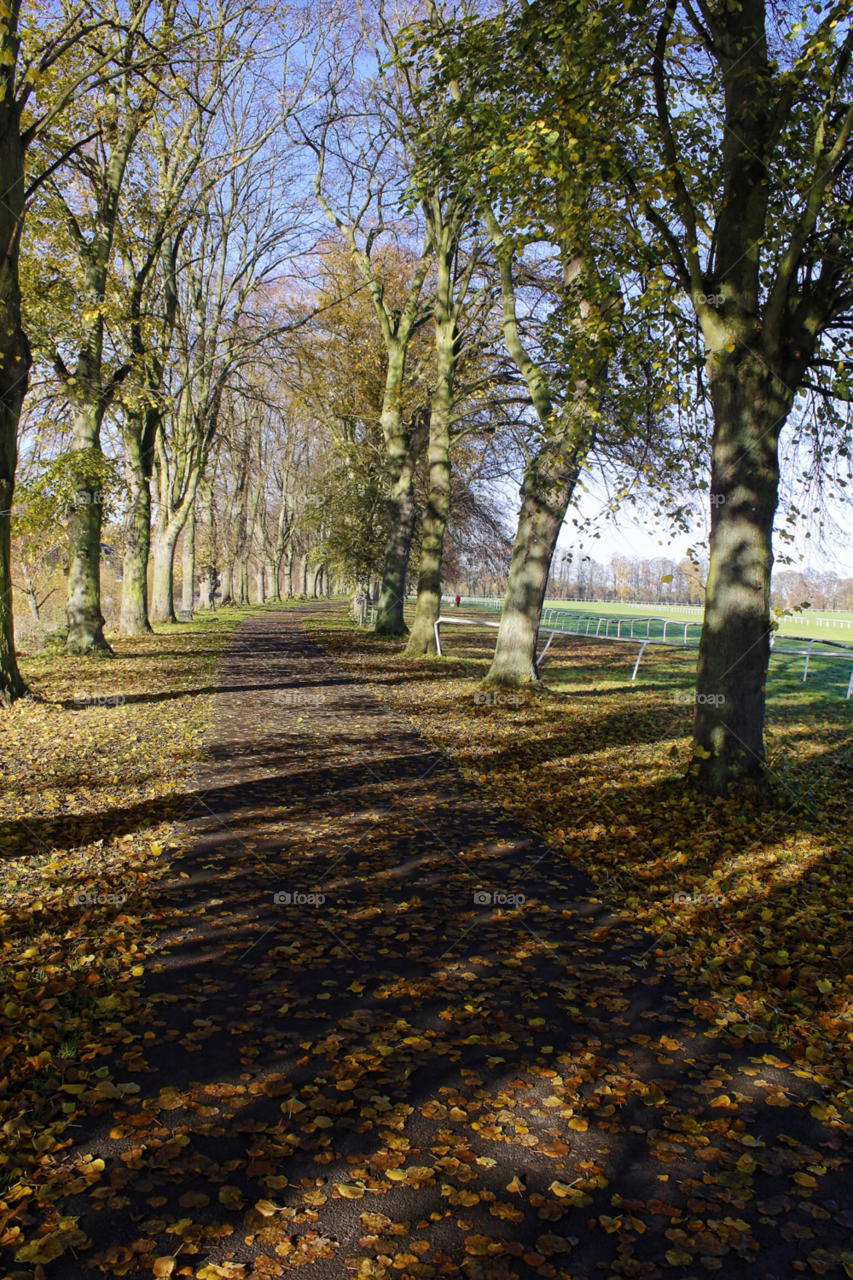 autumn racecourse worcester worcester uk by chris7ben