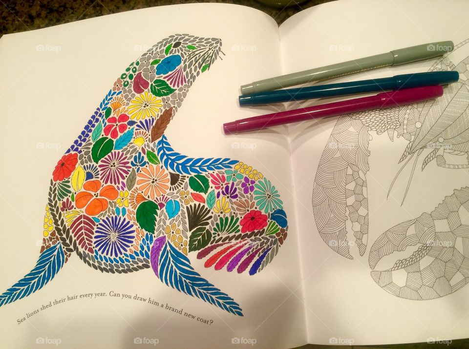 Creative coloring
