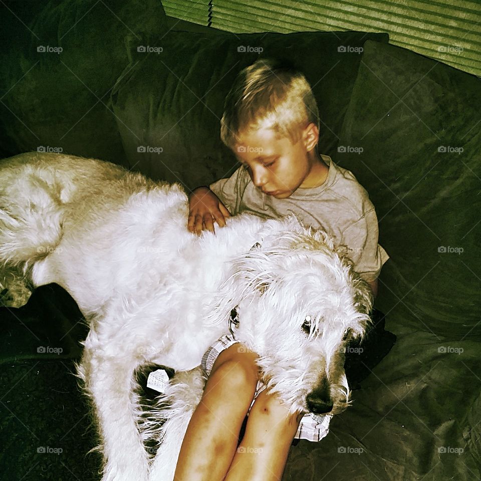 Cuddle Buddy. Nice soft pillow after a long school day