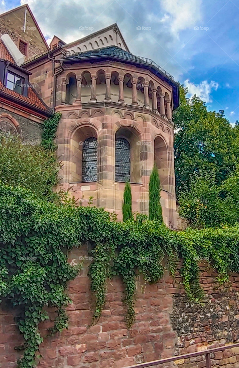 true nature Nofilter