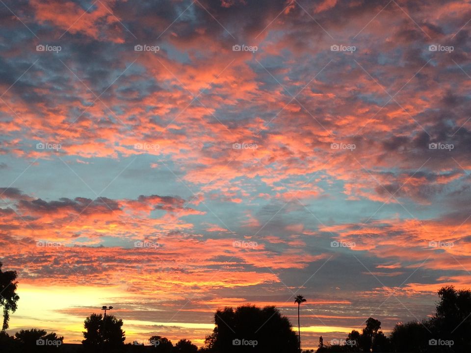 Cotton candy clouds. An Arizona sunrise. 
