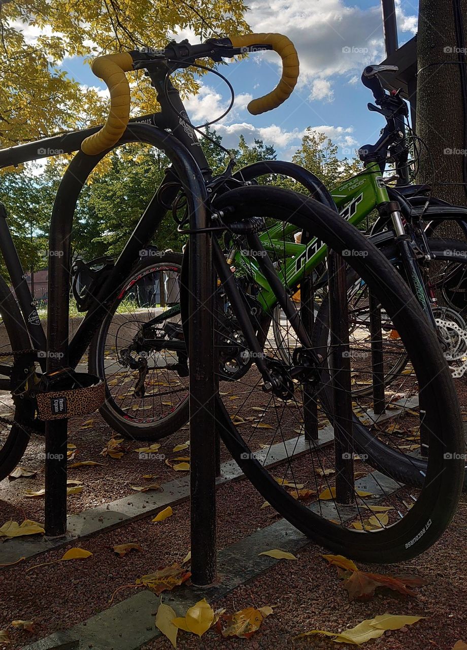 The park 🍂 🚲Bicycle 🚲🍂 Autumn time 🍂🚲