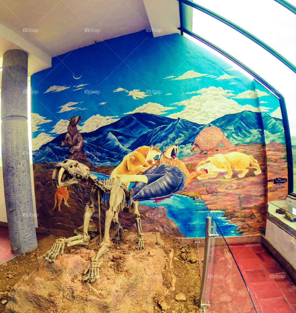 museum colombia