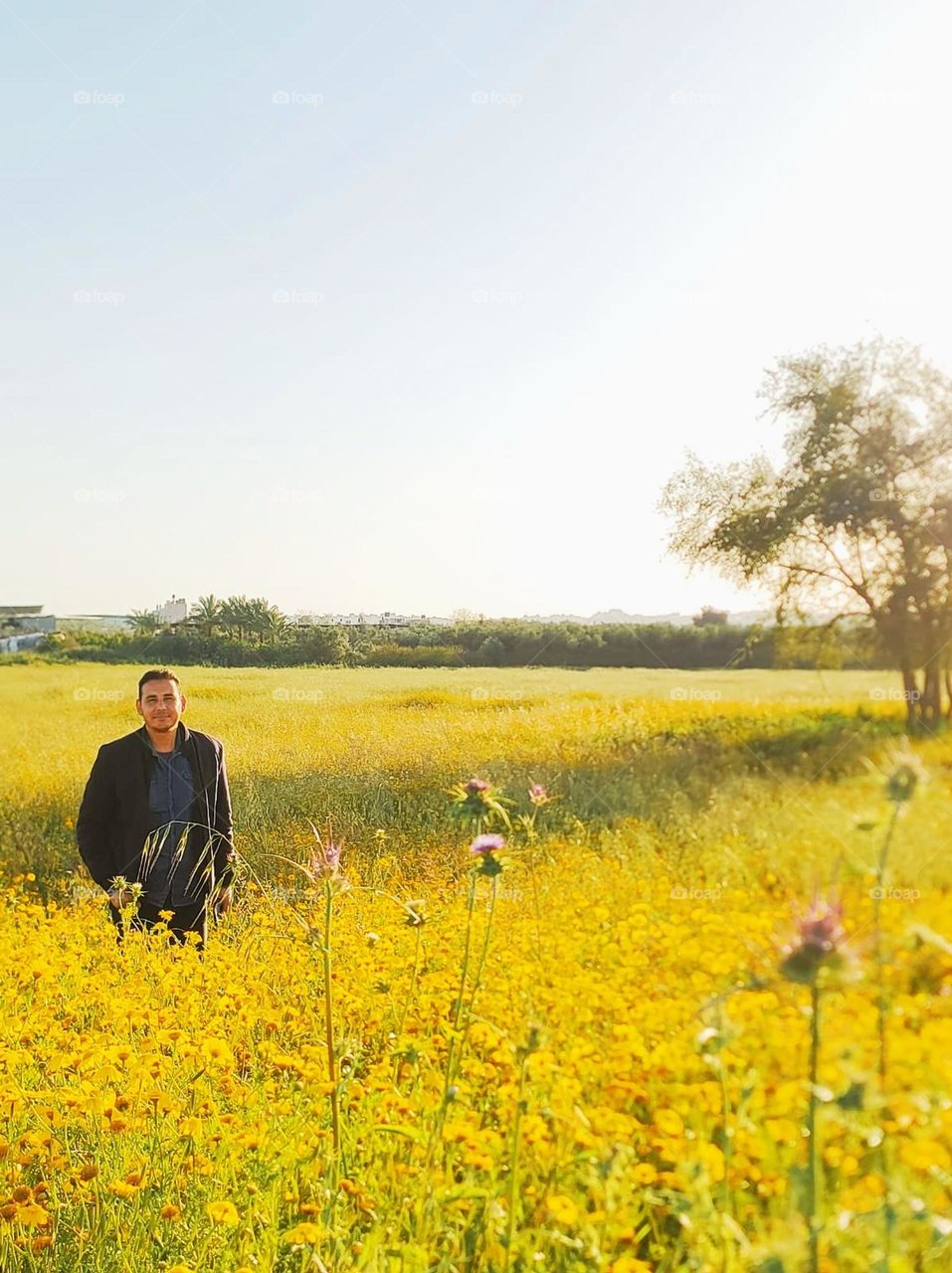 Amidst the yellow roses, a beautiful and relaxing scene
