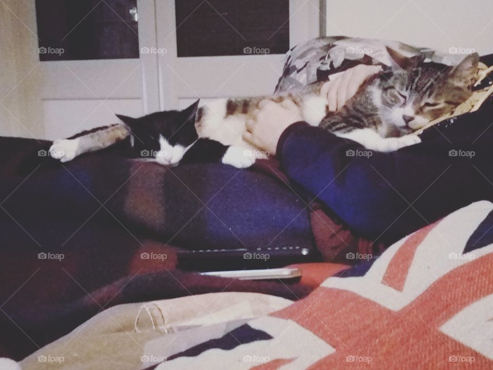 Abbracci che scaldano