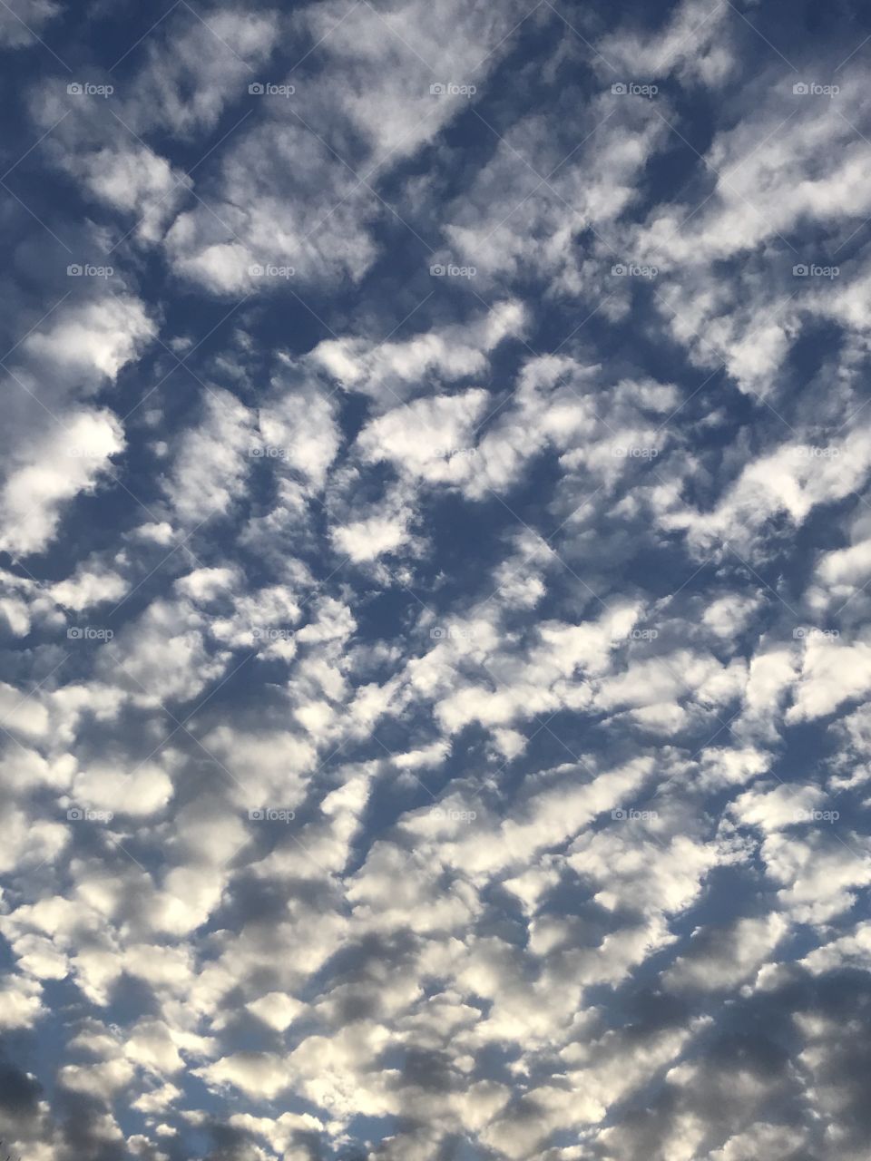 Don’t forget to look up... there’s beauty there