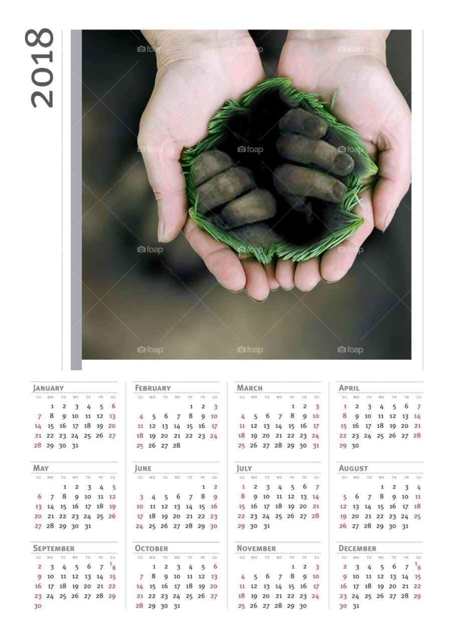 Hand, Date, Calendar, Monthly, Annual