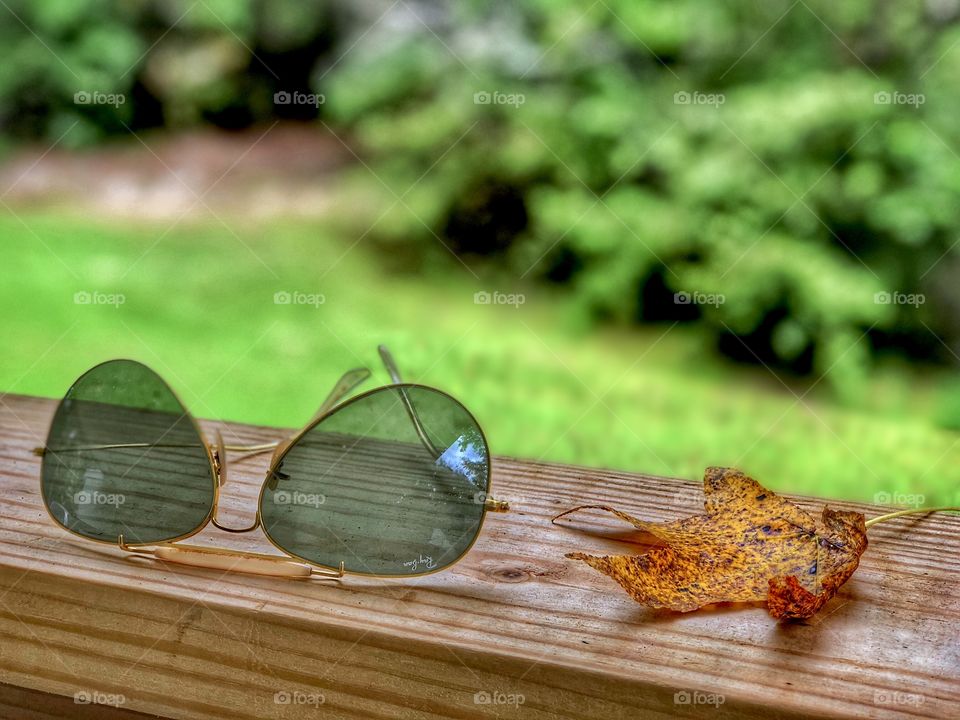 Ray Ban Autumn 