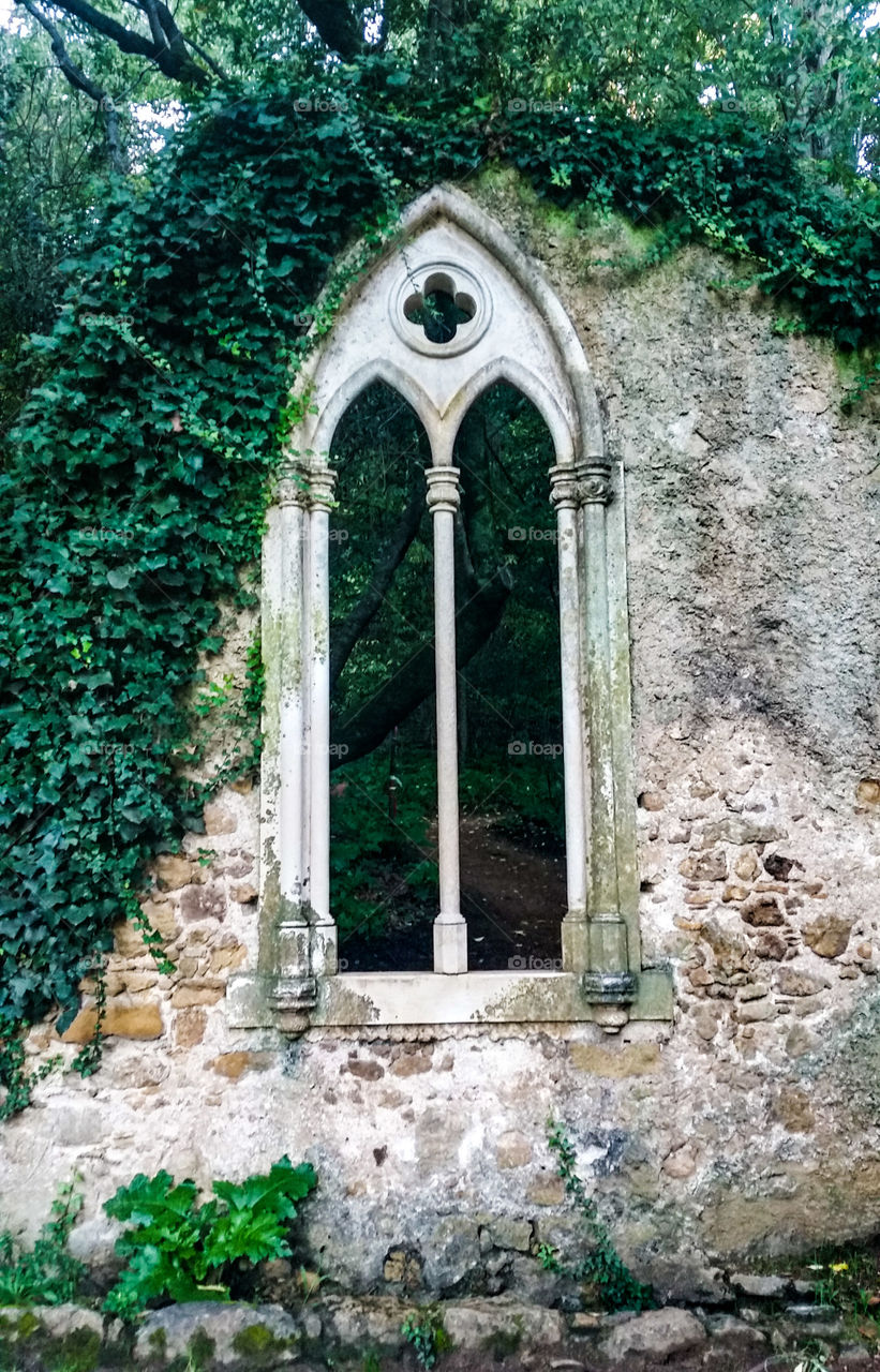 Love Fountain. Neogothic window at "quinta das lágrimas" Portugal .