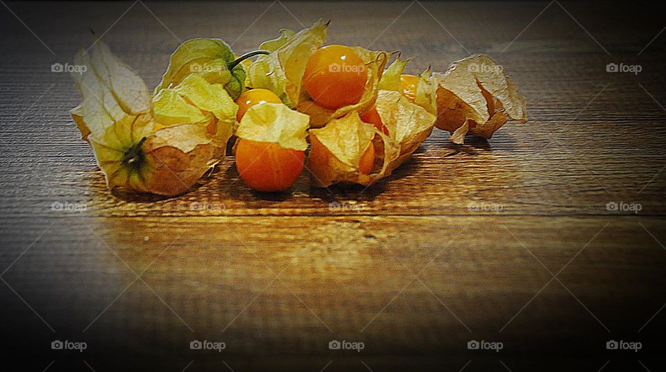 Physalis