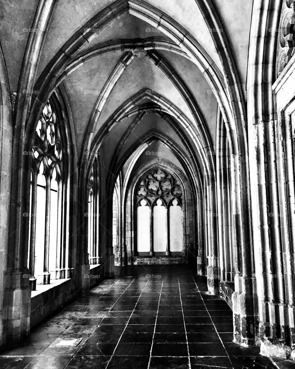 St. Martin's Cathedral in Utrecht
