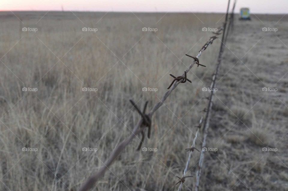 Thorny fence in dry grassy field during winter in South Africa