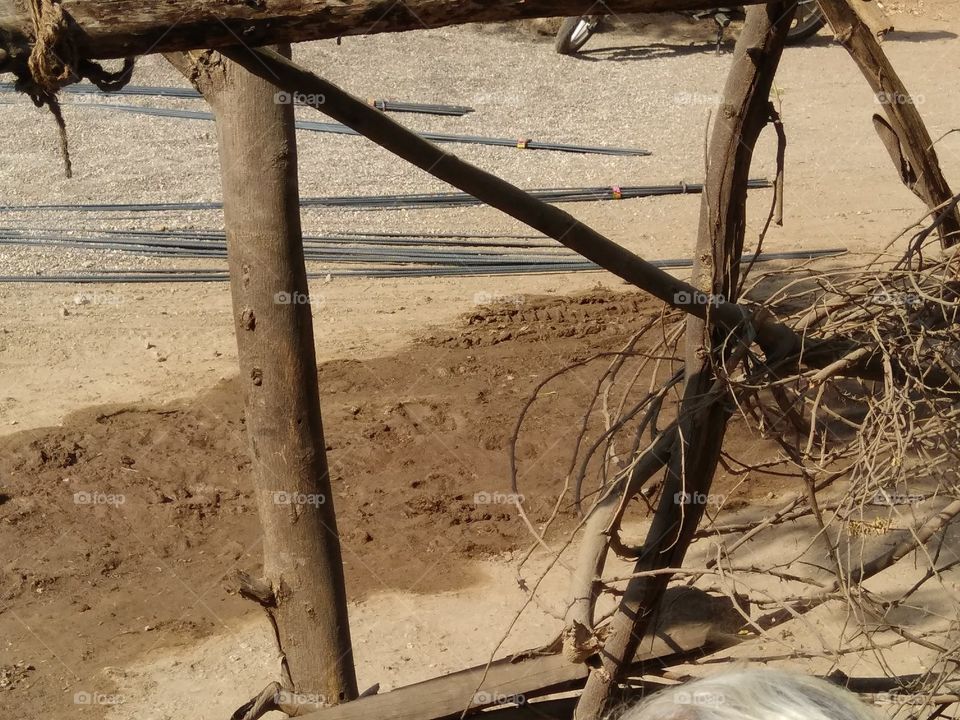 homes garden natur gate