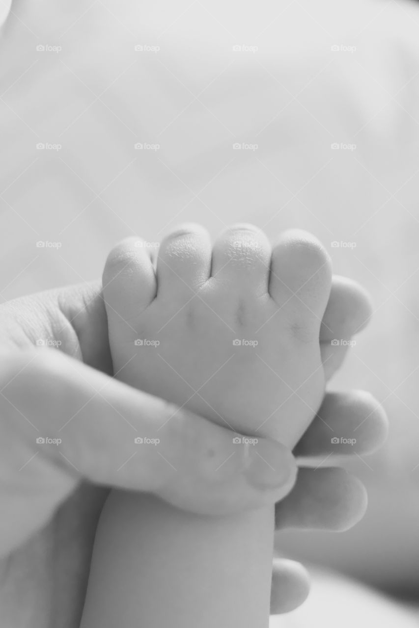 Baby’s Hand