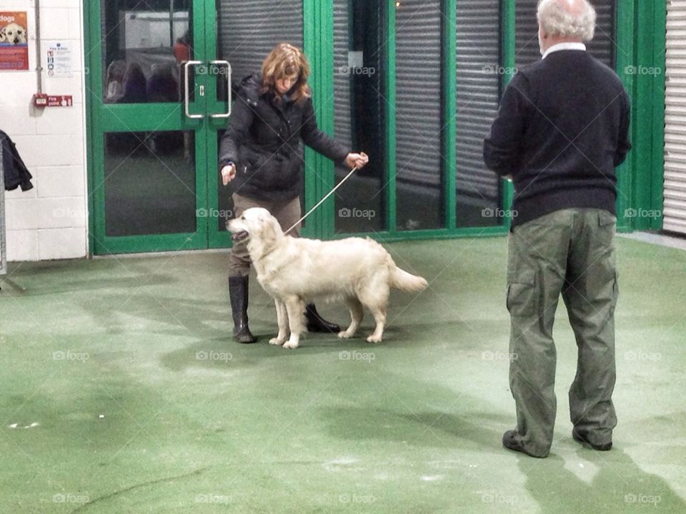 Zoe at Ringcraft Class