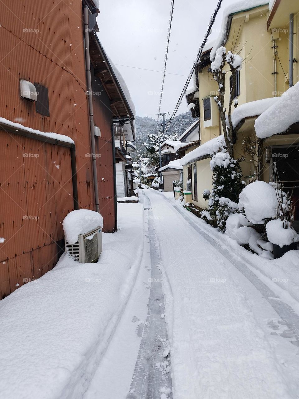 Winter Silence in a Hidden Alley. 