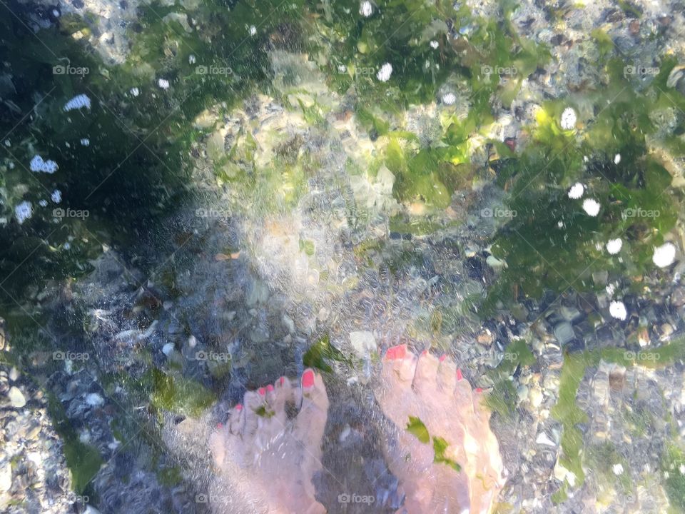 Seaweed wrapping my feet