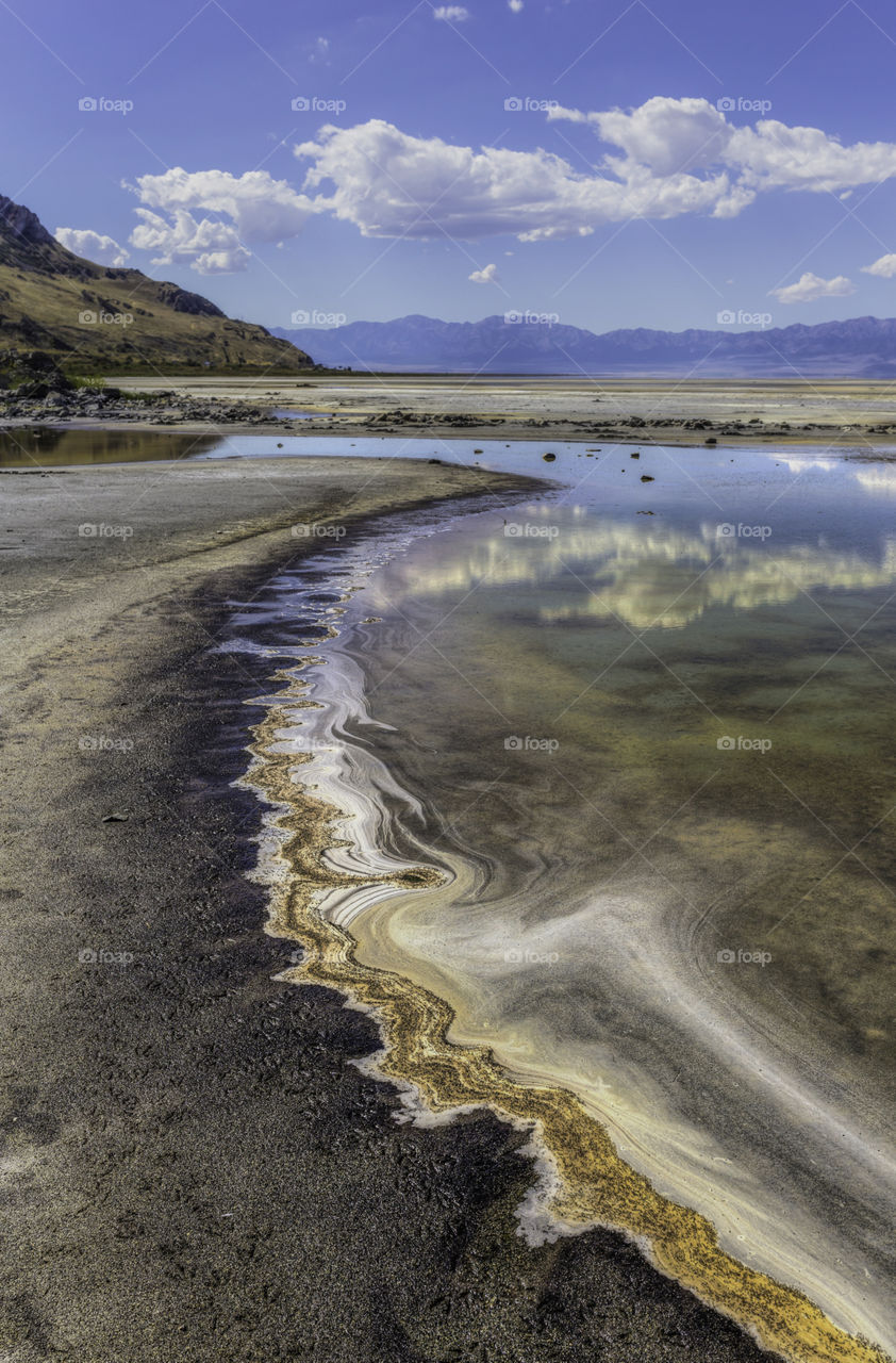 Tears of a Fractal. Just some trippy deposits on the edges of the Great Salt Lake.