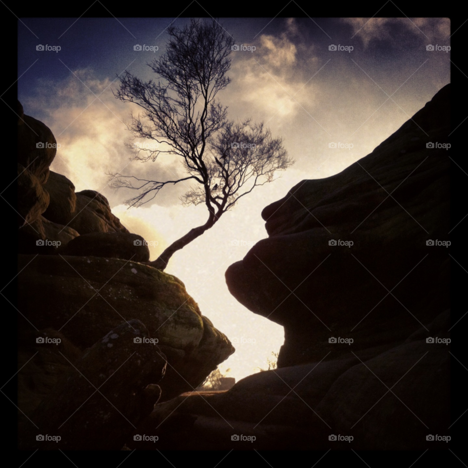 landscape tree rocks by kayeg82
