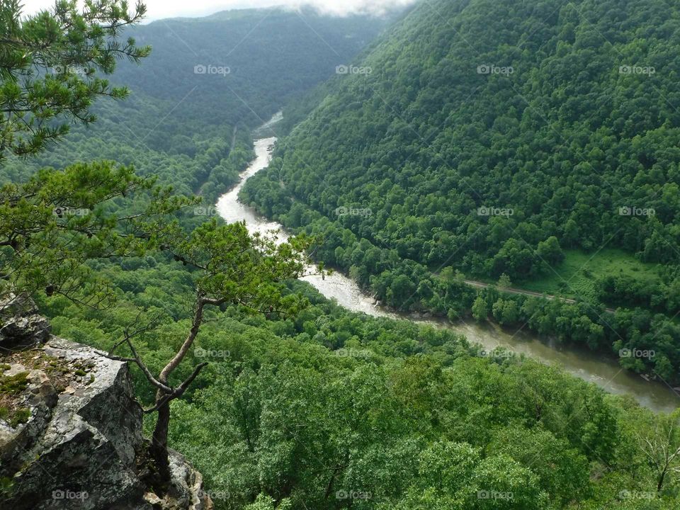 Water, Nature, Landscape, No Person, Wood