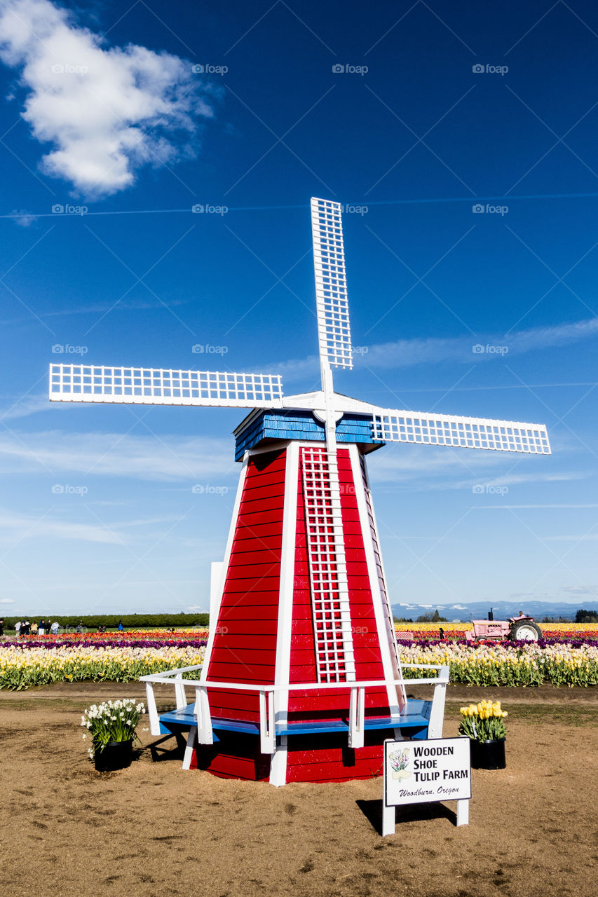 farm windmill