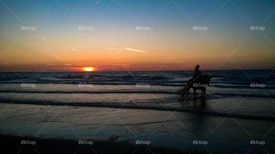 Woman riding on a horse along the beach of Hoek van Holland at sunset.