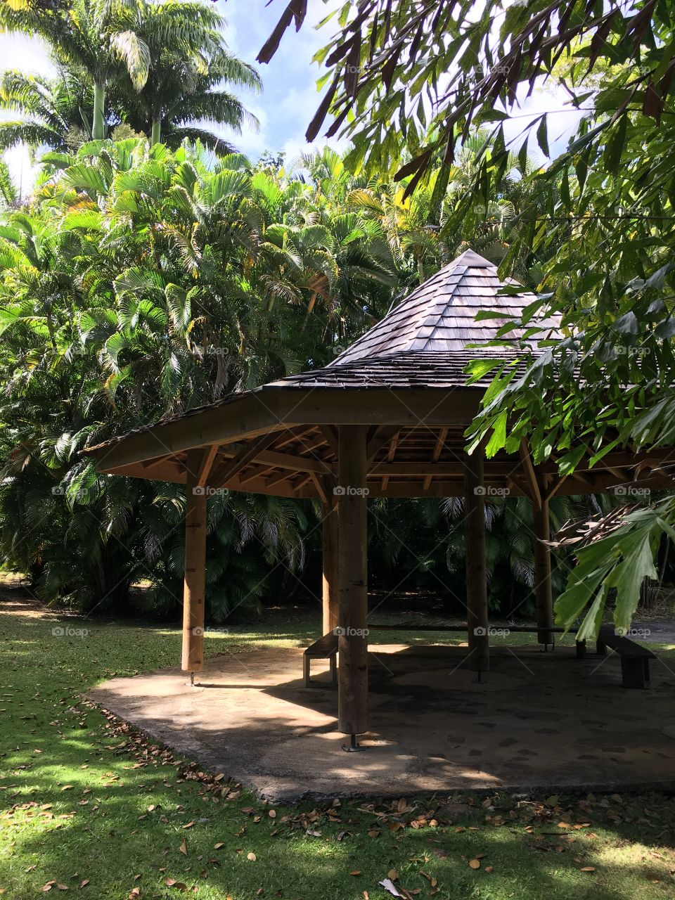 Tropical pagoda 