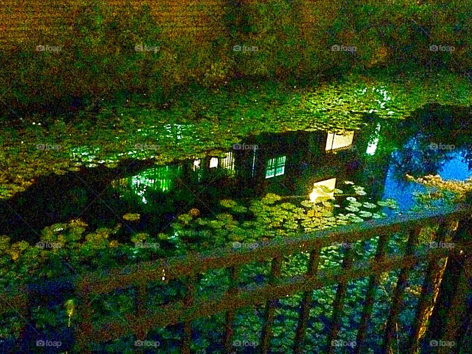 Pond at night 