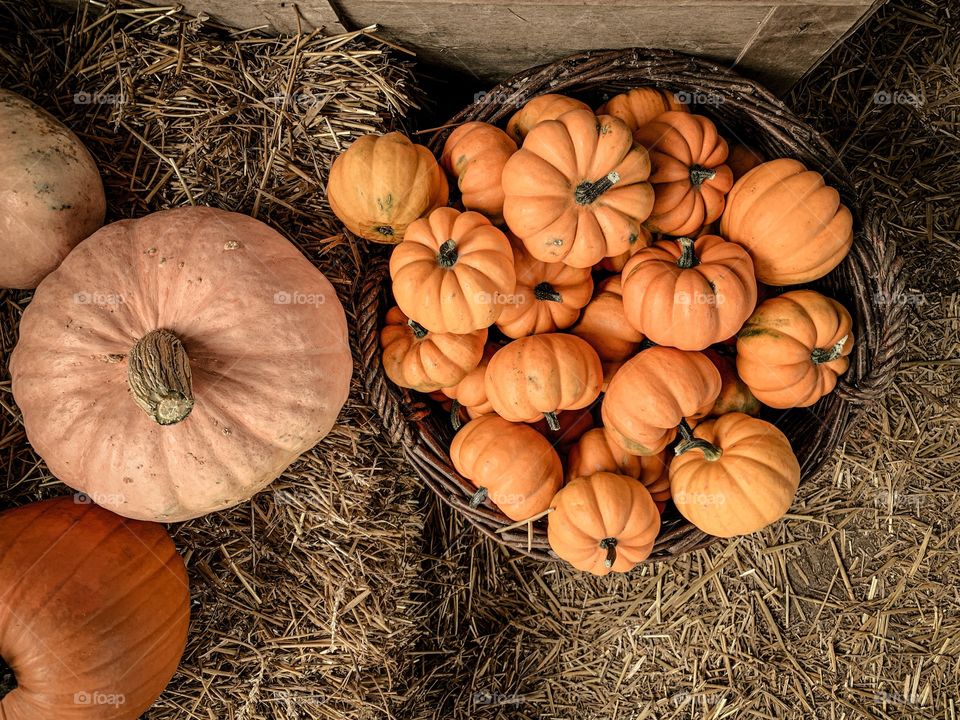 Pumpkins