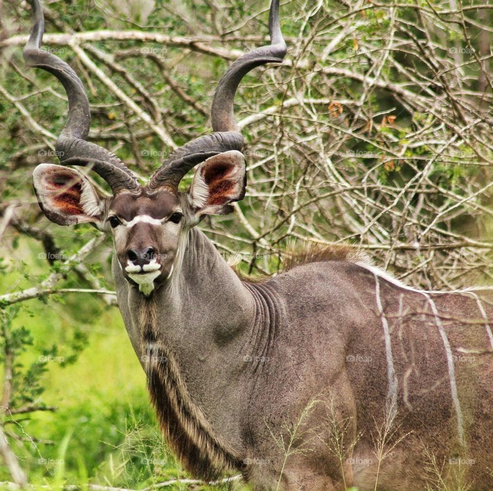 If I stand still you might not see me